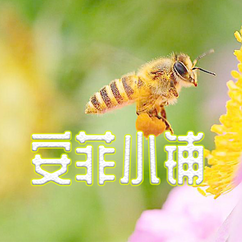 安菲小铺