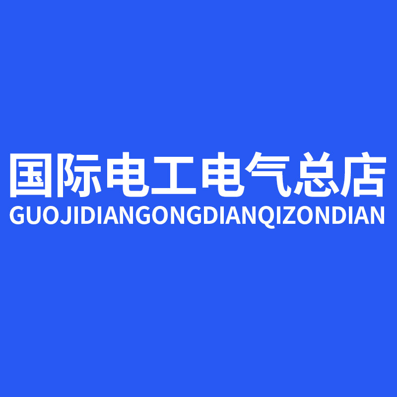 国际电工电气总店