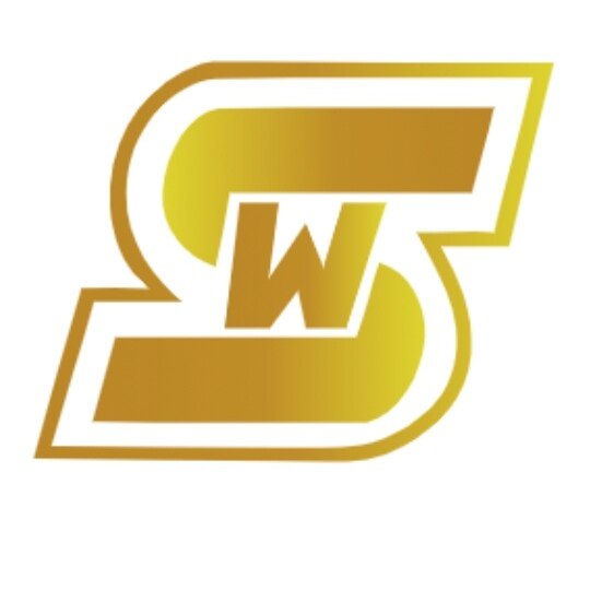 万顺新能源 店铺LOGO