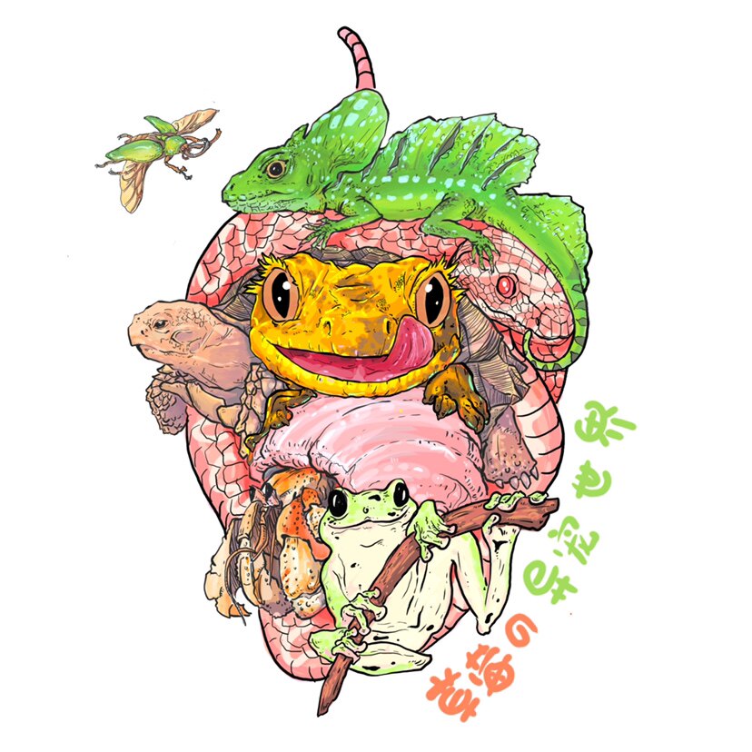 草莓の异宠世界