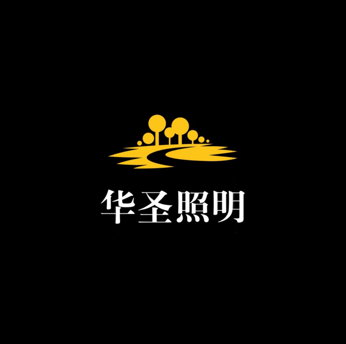 华圣照明