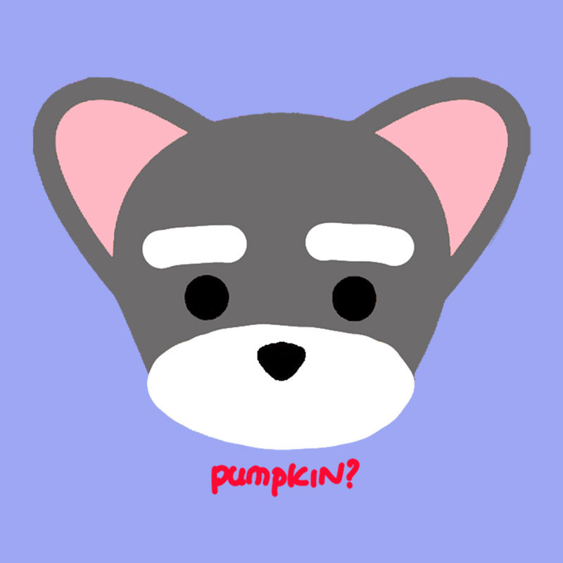 pumpkindog雪纳瑞专门店