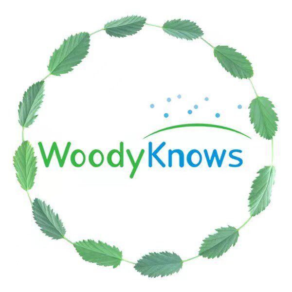 Woodyknows伍迪诺斯