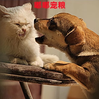 嘟嘟宠粮厂家店