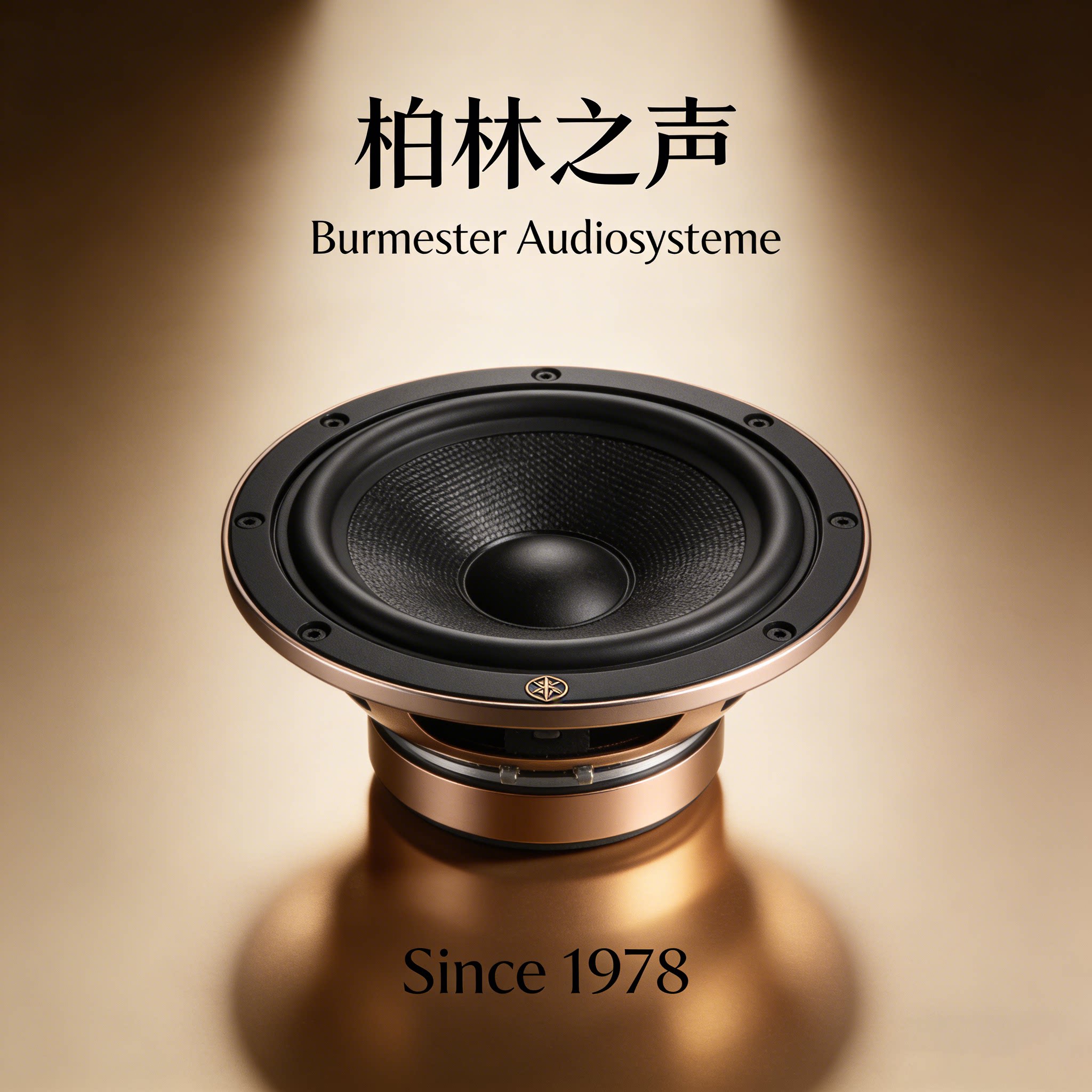 柏林之声品牌正品店