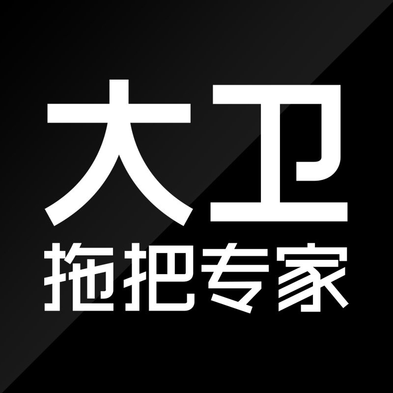 大卫拖把专家企业店
