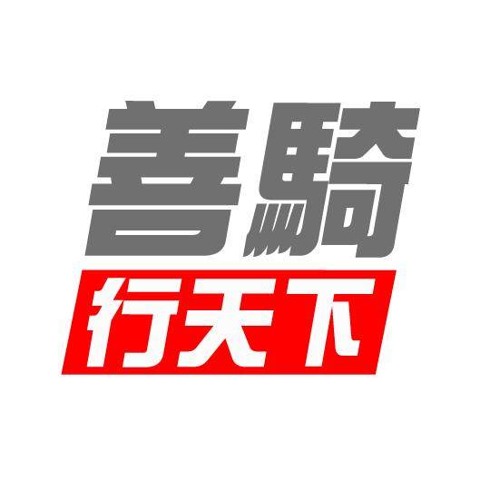 善骑集团企业店