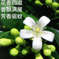 新尚品