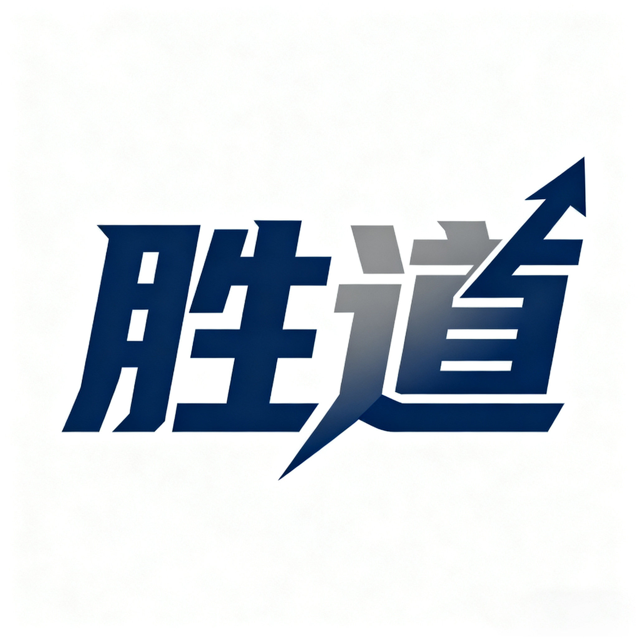 宁波胜道管业有限公司 店铺LOGO