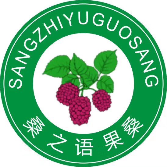 桑之语果桑