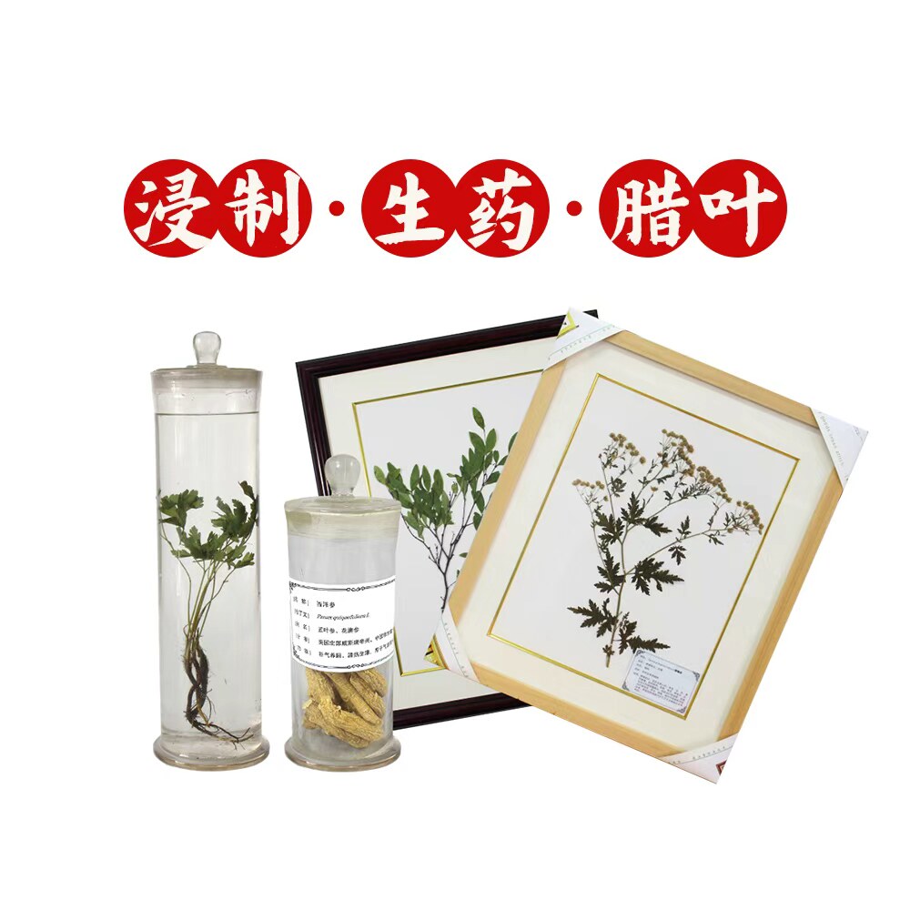 启智生物医学标本工程