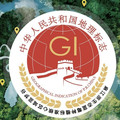 原生态高山露天有机标准蓝莓园