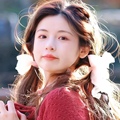 小蜜蜂电脑