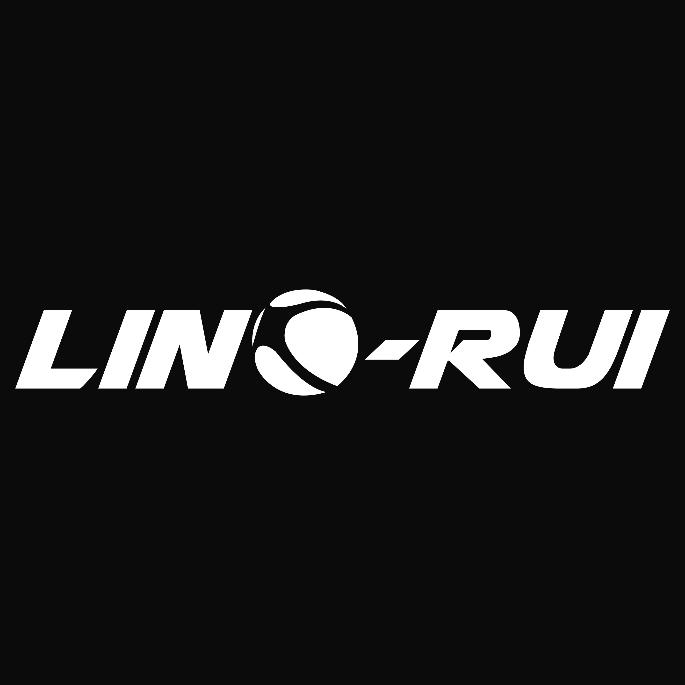 LINGRUI运动定制 店铺LOGO