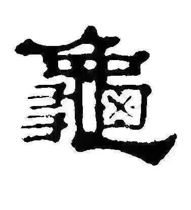 3号柠檬龟业 店铺LOGO