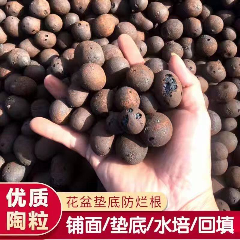 君政陶粒火山岩沸石滤料厂家