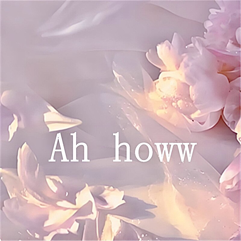 Ah howw 店铺LOGO