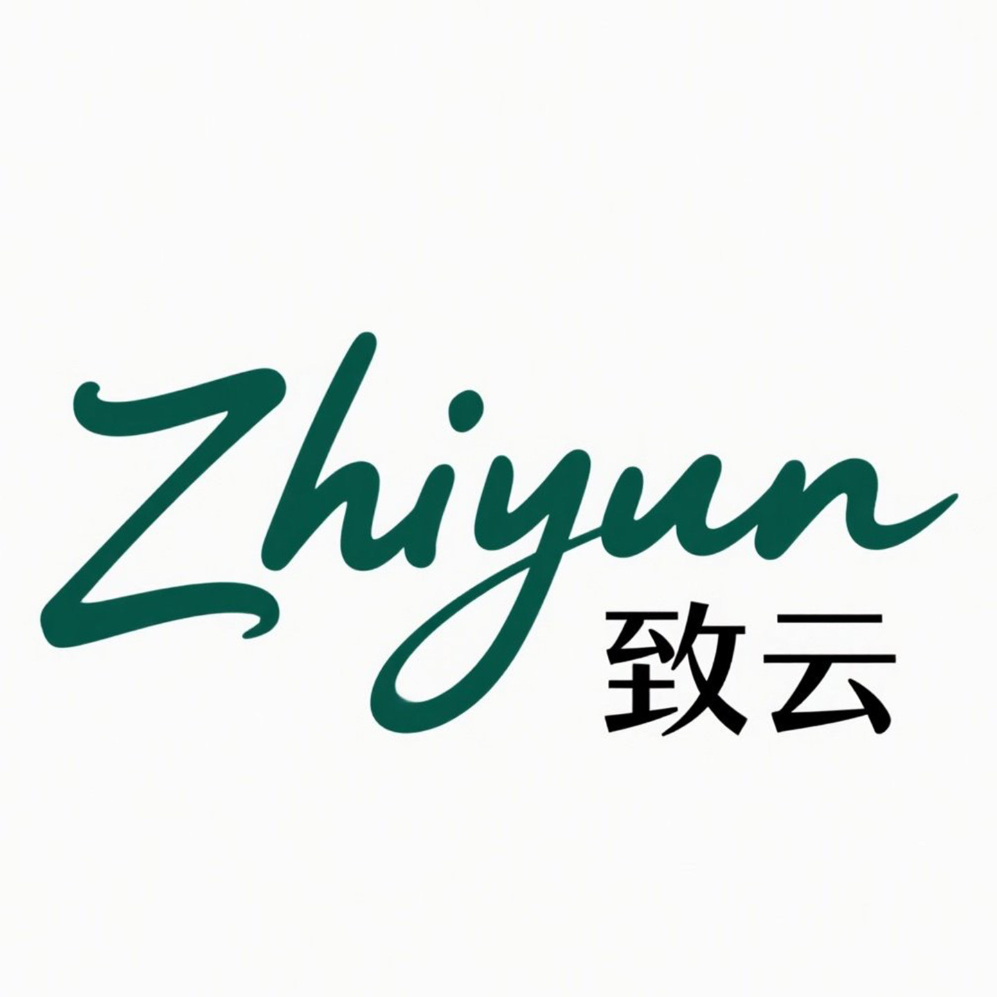 致云旗舰店