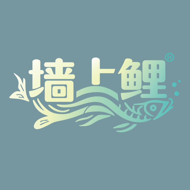 墙上鲤旗舰店