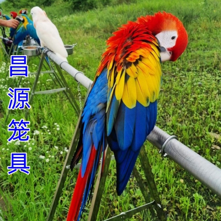 昌源笼具不锈钢鹦鹉笼宠物用品鸟笼厂家定制