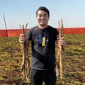 温县山药人家特产店