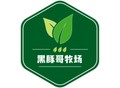黑豚哥牧场