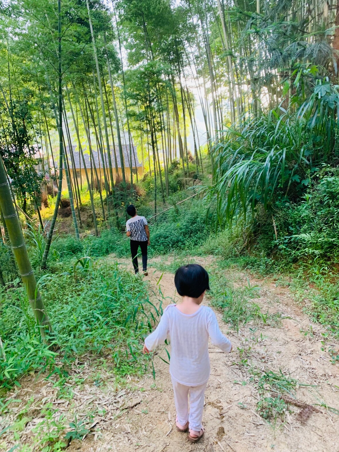 D竹林深处有人家