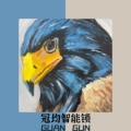 冠宇智能