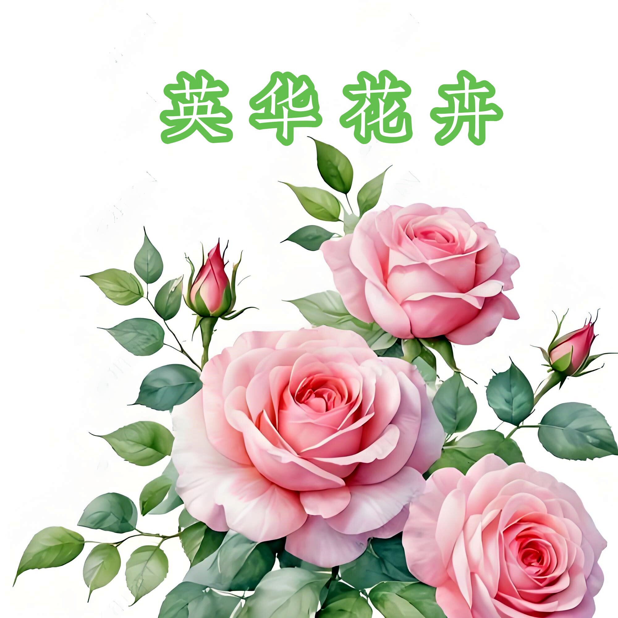 英华花卉