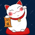 辅料大全18192639926