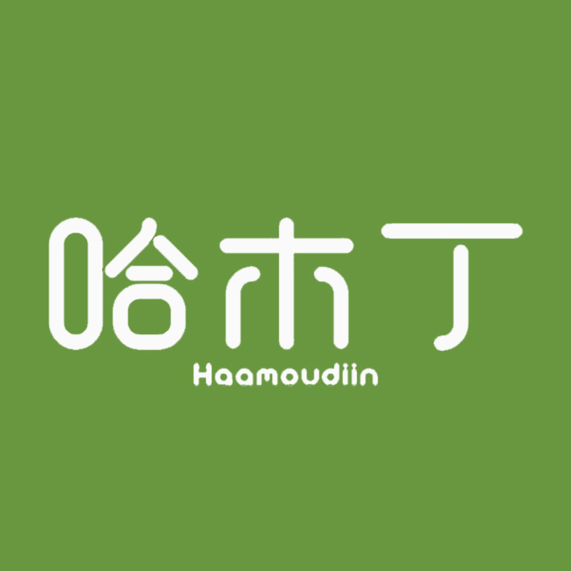 哈木丁旗舰店