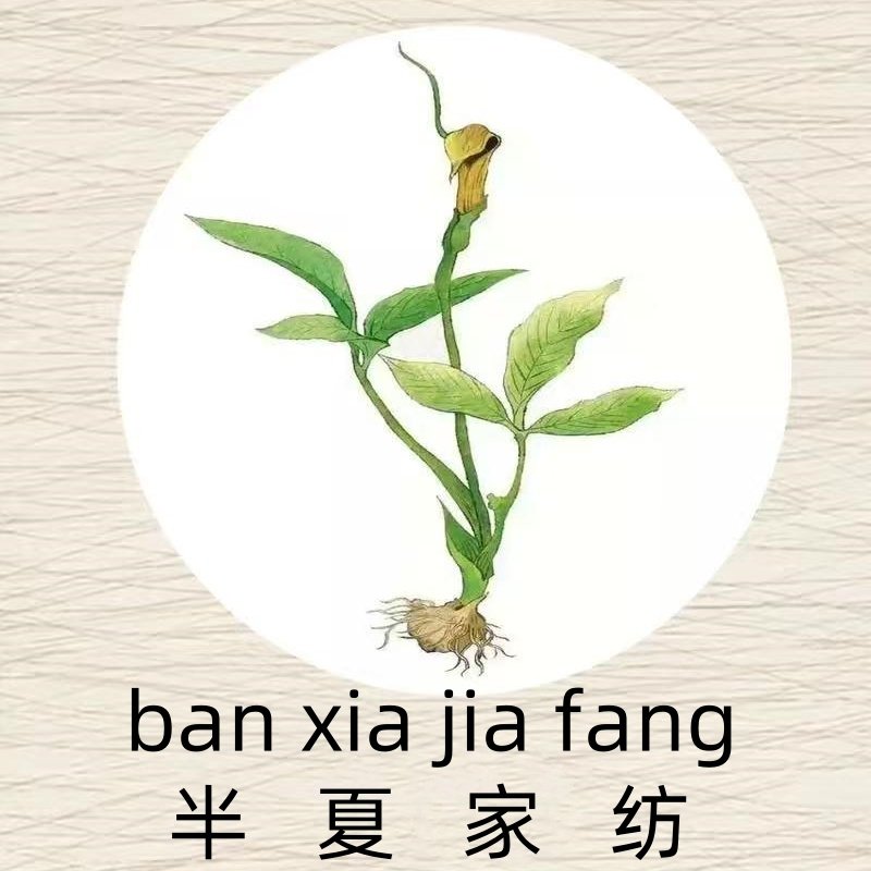 可可嘟毛巾浴巾批发部