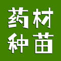 灵山药材种苗