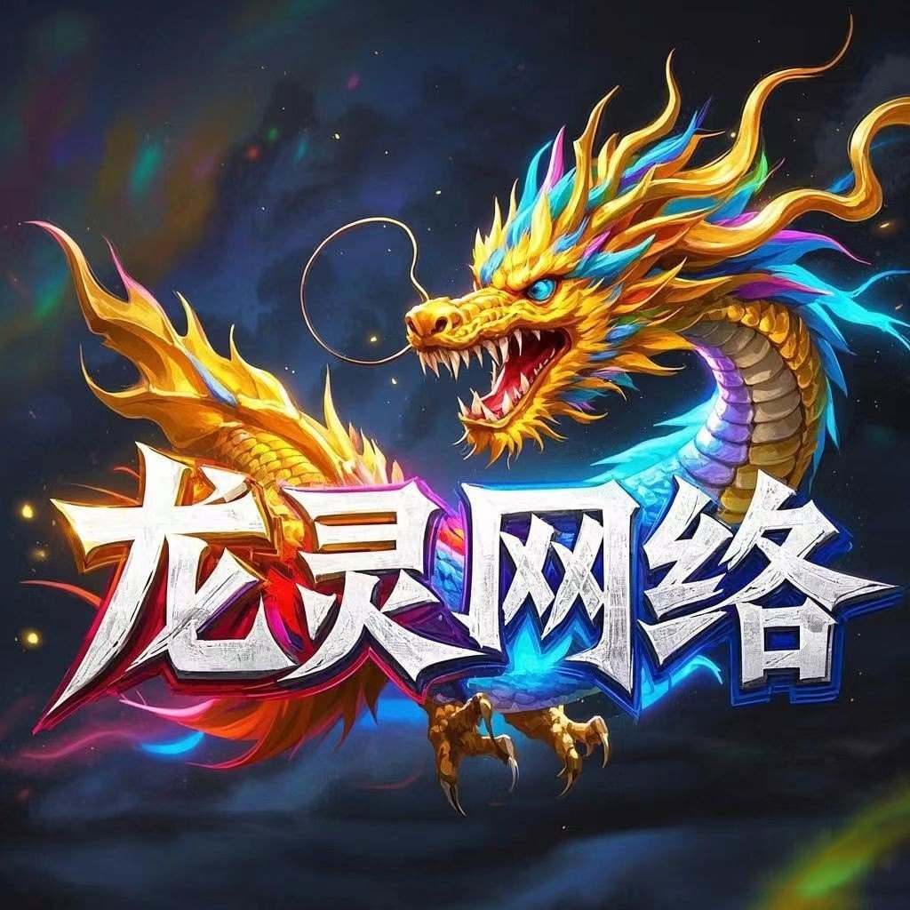 龙灵网络