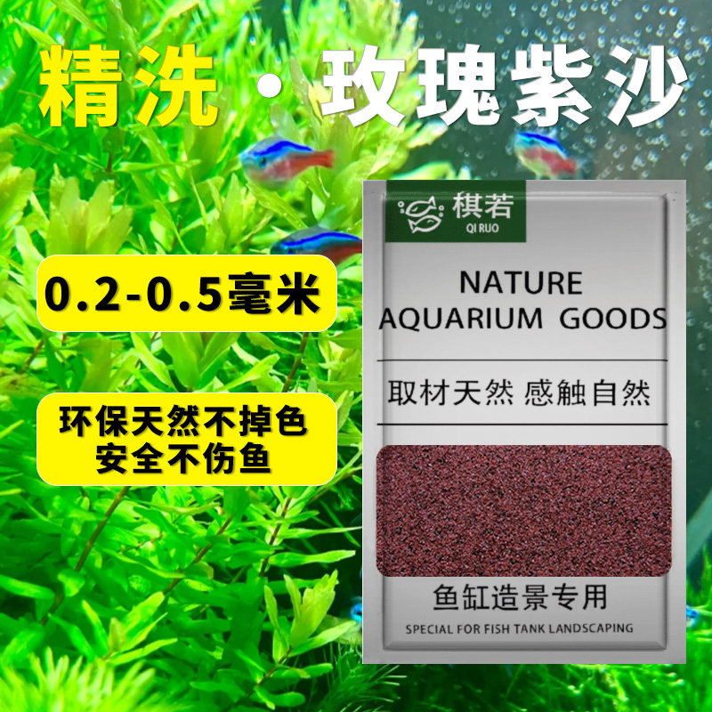 绿叶小草鱼缸造景