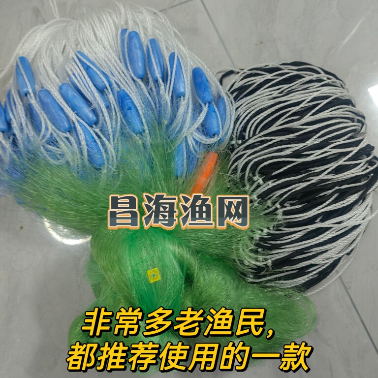 巢湖槐林昌海渔网