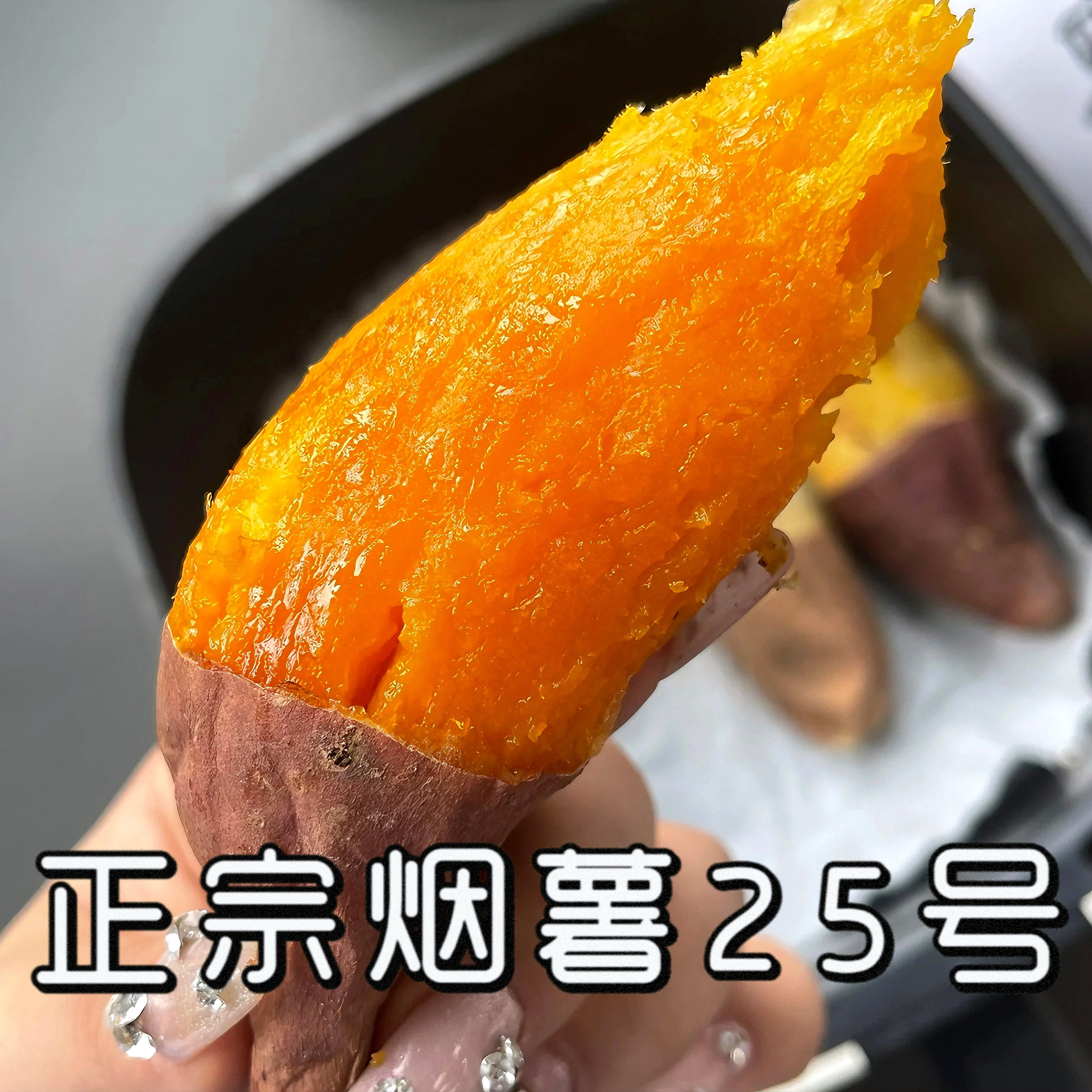 农科烟薯25山东烟台种植基地