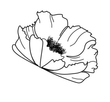 小黄花银饰品