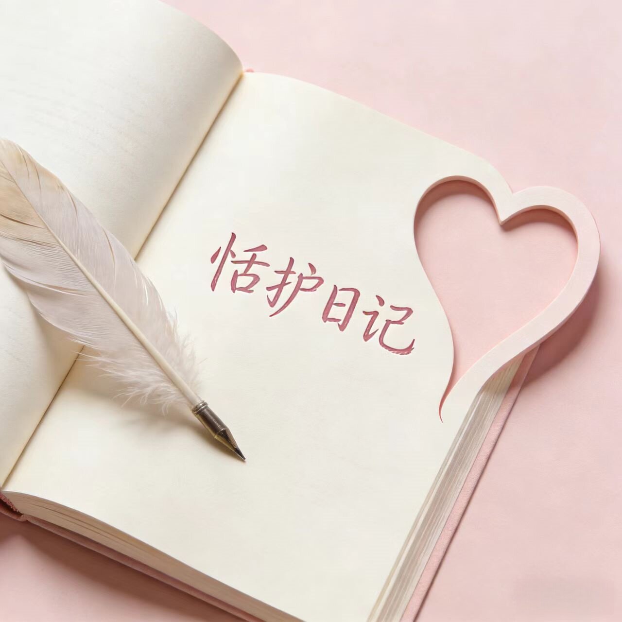 恬护日记