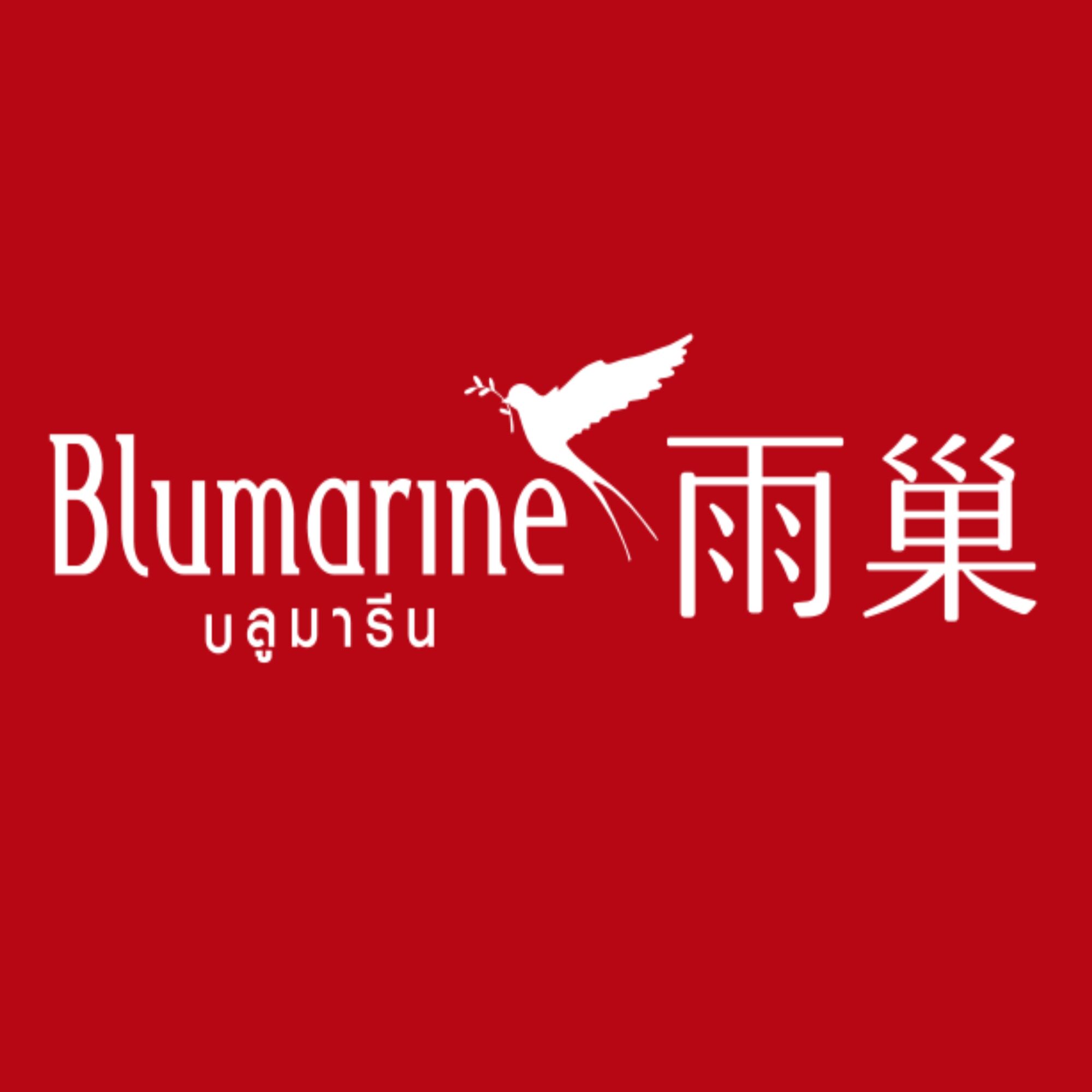 blumarine海外旗舰店