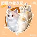 肥猫老友记