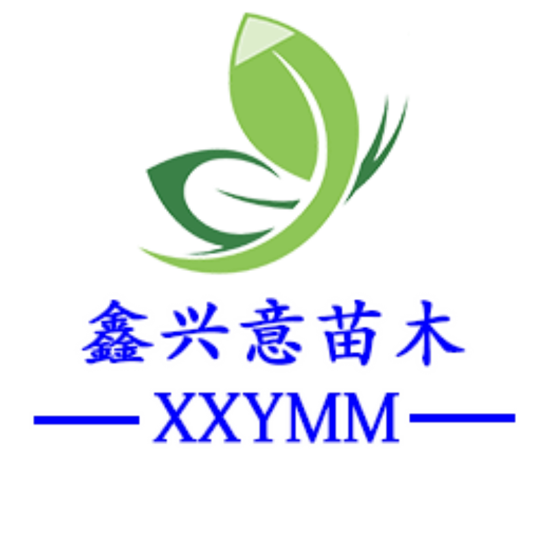 鑫兴意苗木企业店