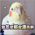 喜乐熊鸟笼