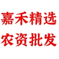嘉禾精选