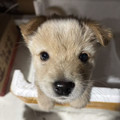 四川重庆特产调味品直销