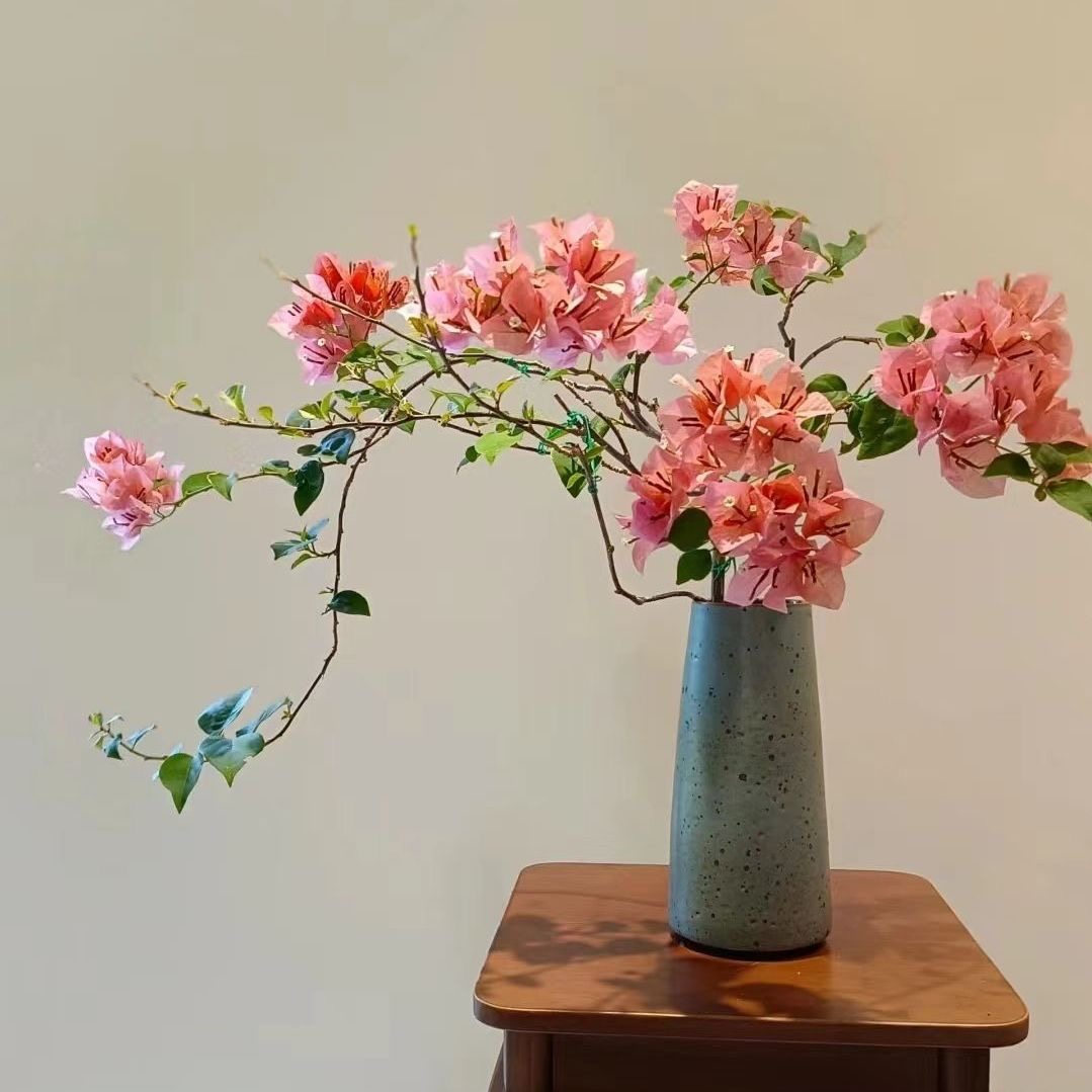 阿杰花卉绿植3