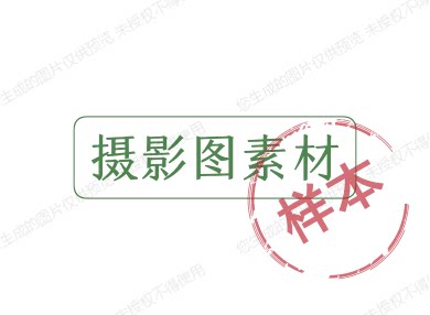 摄影图素材 店铺LOGO