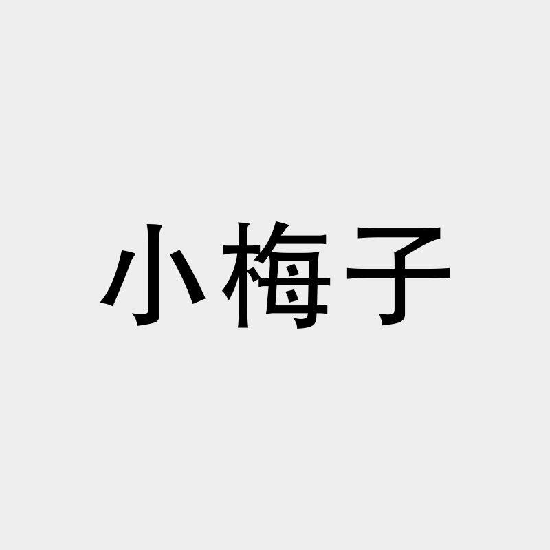 小梅子家服装工作室