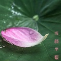 浅颜半夏百货店