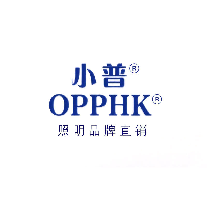 小普品牌照明